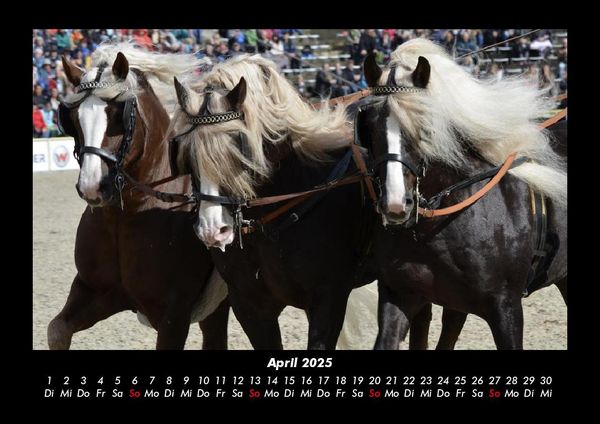 Produktbild: Die Welt der Pferde 2025 Fotokalender DIN A3