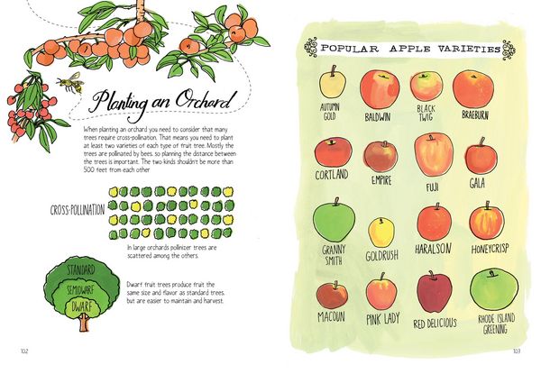 Produktbild: Farm Anatomy