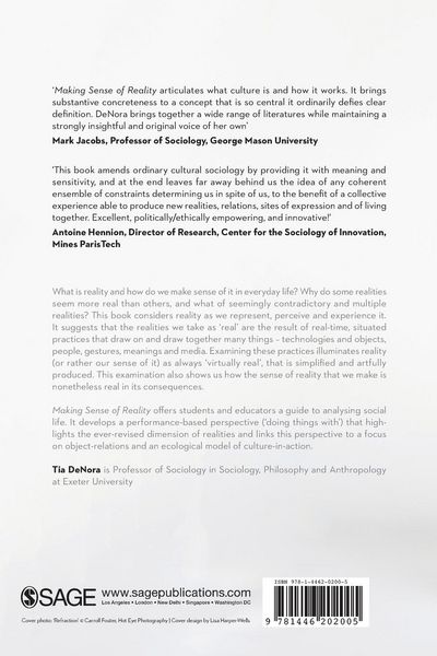 Produktbild: Making Sense of Reality