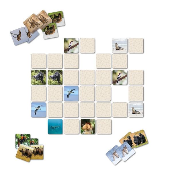 Produktbild: Einzigartig - Bedrohte Tierarten - Memospiel