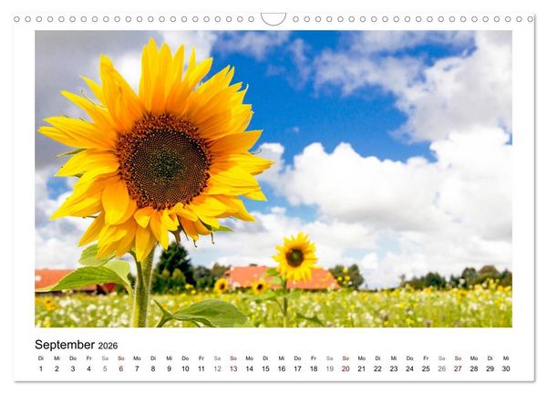Produktbild: OSTFRIESLAND Weites Land hinterm Deich (Wandkalender 2026 DIN A3 quer), CALVENDO Monatskalender