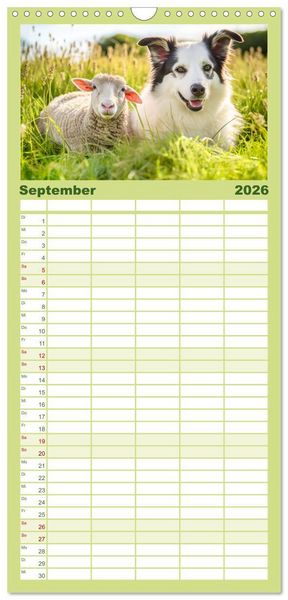 Produktbild: Familienplaner 2026 - Bauernhof-Freunde - Hunde und ihre tierischen Freundschaften mit 5 Spalten (Wandkalender, 21 x 45 cm) CALVENDO