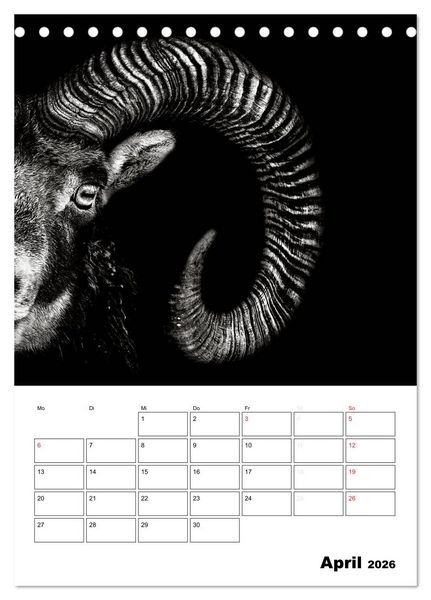 Produktbild: Charakterk&ouml;pfe aus der Welt der Tiere (Tischkalender 2026 DIN A5 hoch), CALVENDO Monatskalender