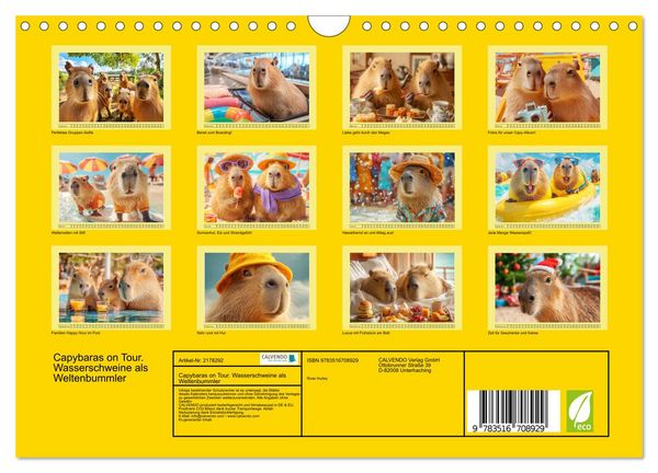 Produktbild: Capybaras on Tour. Wasserschweine als Weltenbummler (Wandkalender 2026 DIN A4 quer), CALVENDO Monatskalender