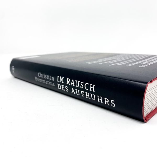 Produktbild: Im Rausch des Aufruhrs