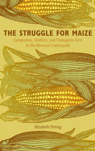 Produktbild: The Struggle for Maize