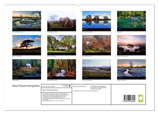 Produktbild: New Forest Hampshire (High Quality Premium Wall Calendar 2026 DIN A2 landscape),CALVENDO 12 Month Wall Calendar