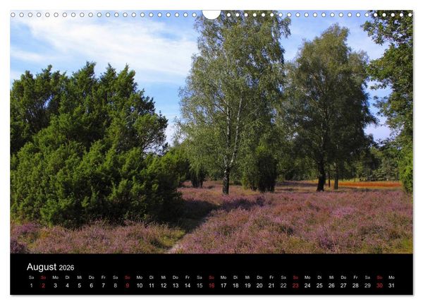 Produktbild: L&uuml;neburg und die L&uuml;neburger Heide (Wandkalender 2026 DIN A3 quer), CALVENDO Monatskalender