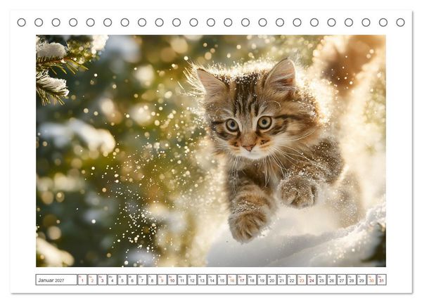 Produktbild: Miau macht gl&uuml;cklich (Tischkalender 2027 DIN A5 quer), CALVENDO Monatskalender