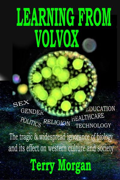 Produktbild: Learning from Volvox