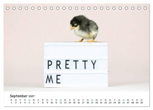 Produktbild: Tierkinder ganz frech (Tischkalender 2027 DIN A5 quer), CALVENDO Monatskalender