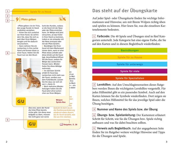 Produktbild: Welpen-Spiele-Box