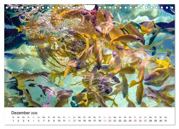 Produktbild: Unterwasserwelt der Malediven I (Wandkalender 2026 DIN A4 quer), CALVENDO Monatskalender