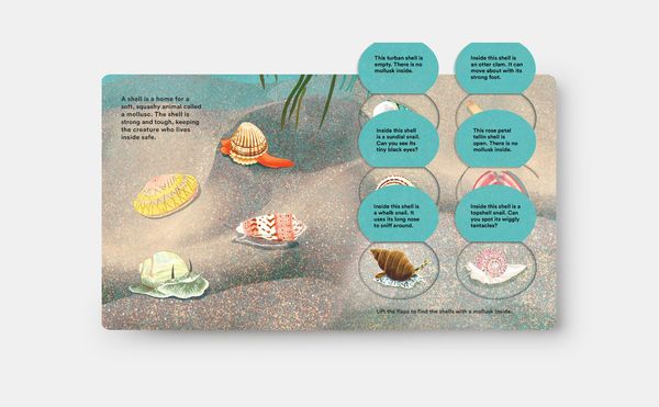 Produktbild: Shells... and what they hide inside