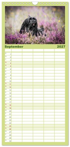 Produktbild: Familienplaner 2027 - Havaneser - Wirbelwinde aus Kuba mit 5 Spalten (Wandkalender, 21 x 45 cm) CALVENDO