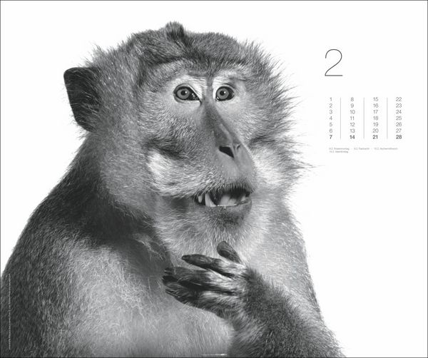 Produktbild: Black & White Animals 2027
