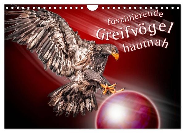 Produktbild: Faszinierende Greifv&ouml;gel hautnah (Wandkalender 2026 DIN A4 quer), CALVENDO Monatskalender