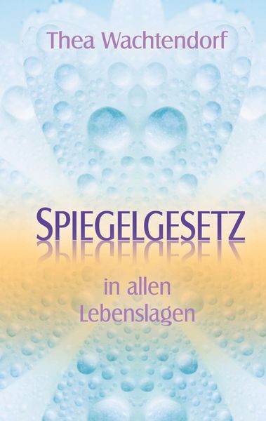 Produktbild: Spiegelgesetz in allen Lebenslagen