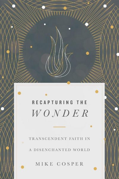 Produktbild: Recapturing the Wonder