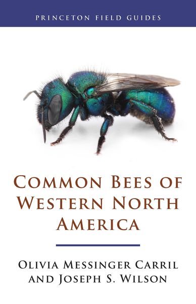 Produktbild: Common Bees of Western North America