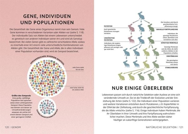 Produktbild: SIMPLY. Naturwissenschaft