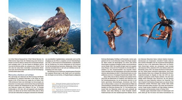 Produktbild: Der Steinadler