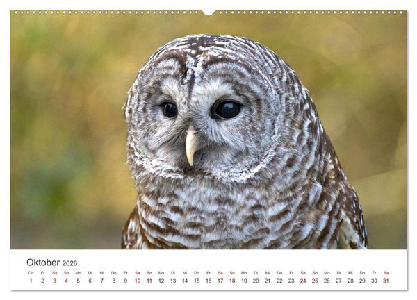 Produktbild: British Columbia - Faszination Kanada (Wandkalender 2026 DIN A2 quer), CALVENDO Monatskalender