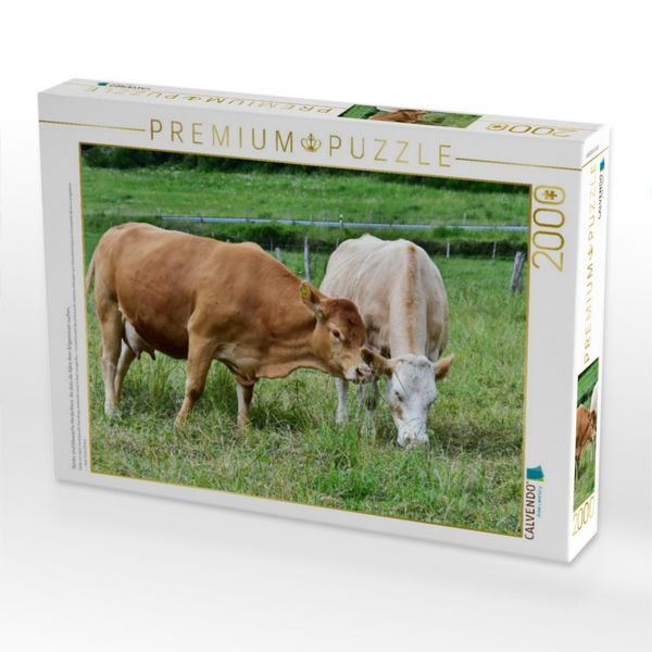 Produktbild: CALVENDO Puzzle Rinder sind klassische Herdentiere, die stets die N&auml;he ihrer Artgenossen suchen. | 2000 Teile Lege-Gr&ouml;&szlig;e 90x67cm Foto-Puzzle f&uuml;r gl&uuml;ck