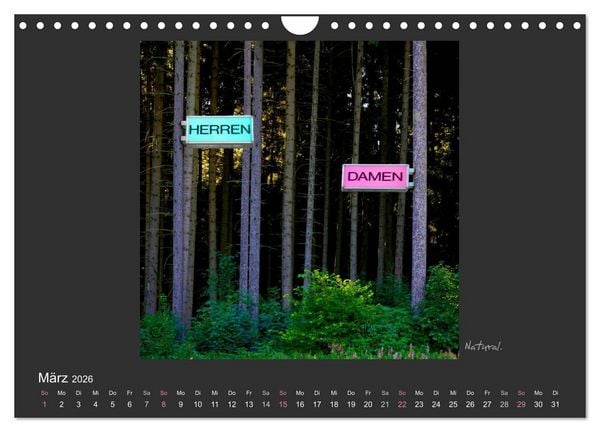 Produktbild: Schwarzwald. Anders. (Wandkalender 2026 DIN A4 quer), CALVENDO Monatskalender
