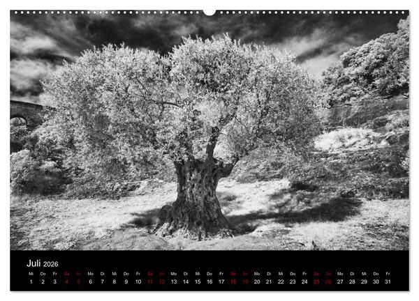 Produktbild: M&auml;rchenhaftes Frankreich (Wandkalender 2026 DIN A2 quer), CALVENDO Monatskalender