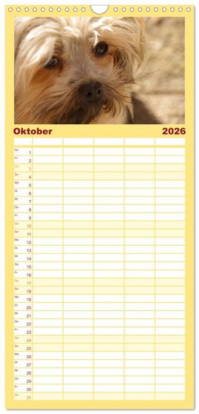 Produktbild: Familienplaner 2026 - Bolonka Zwetna mit 5 Spalten (Wandkalender, 21 x 45 cm) CALVENDO