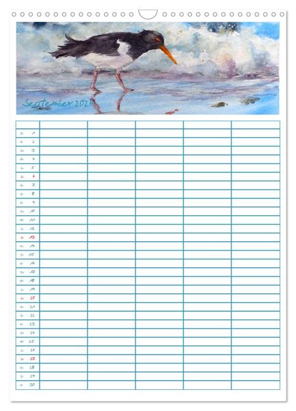 Produktbild: Amrumaquarelle (Wandkalender 2026 DIN A3 hoch), CALVENDO Monatskalender