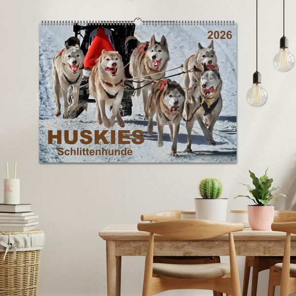 Produktbild: Huskies - Schlittenhunde (Wandkalender 2026 DIN A2 quer), CALVENDO Monatskalender