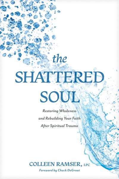 Produktbild: The Shattered Soul
