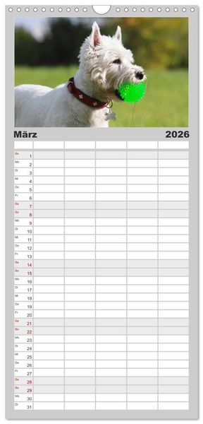 Produktbild: Familienplaner 2026 - West Highland White Terrier - Selbstbewustes Powerpaket - der Westie mit 5 Spalten (Wandkalender, 21 x 45 cm) CALVENDO