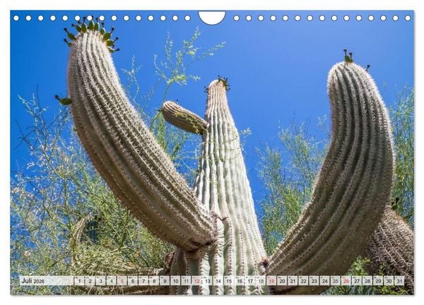 Produktbild: ARIZONA UND UTAH Ein einzigartiges Erlebnis (Wandkalender 2026 DIN A4 quer), CALVENDO Monatskalender