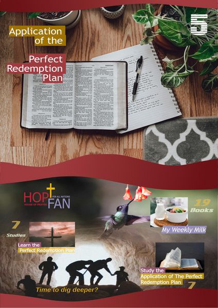 Produktbild: Application of the Perfect Redemption Plan 5