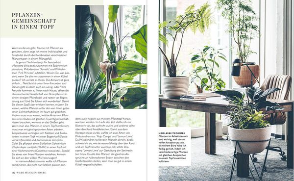 Produktbild: Welcome to the jungle