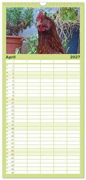 Produktbild: Familienplaner 2027 - Die H&uuml;hner sind los! mit 5 Spalten (Wandkalender, 21 x 45 cm) CALVENDO