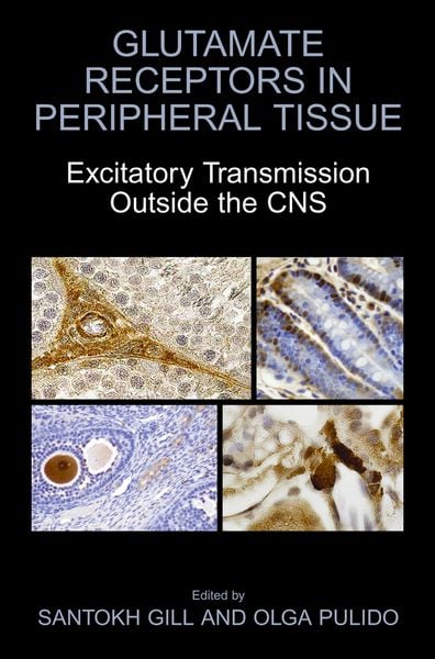 Produktbild: Glutamate Receptors in Peripheral Tissue