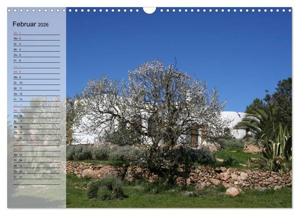 Produktbild: Zauberhaftes Ibiza - Terminplaner (Wandkalender 2026 DIN A3 quer), CALVENDO Monatskalender