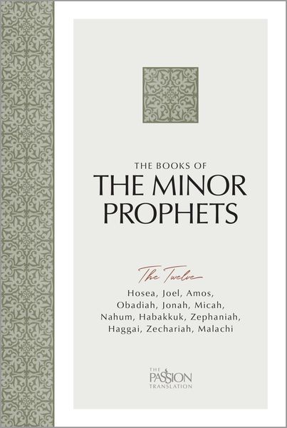 Produktbild: The Books of The Minor Prophets