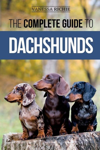 Produktbild: The Complete Guide to Dachshunds