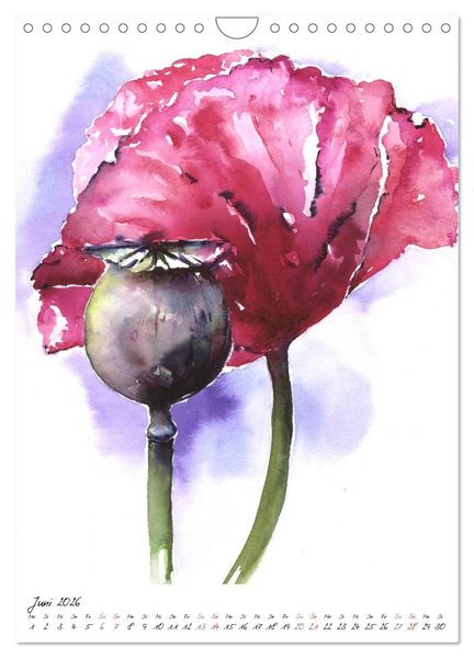 Produktbild: Bl&uuml;tenaquarelle (Wandkalender 2026 DIN A4 hoch), CALVENDO Monatskalender
