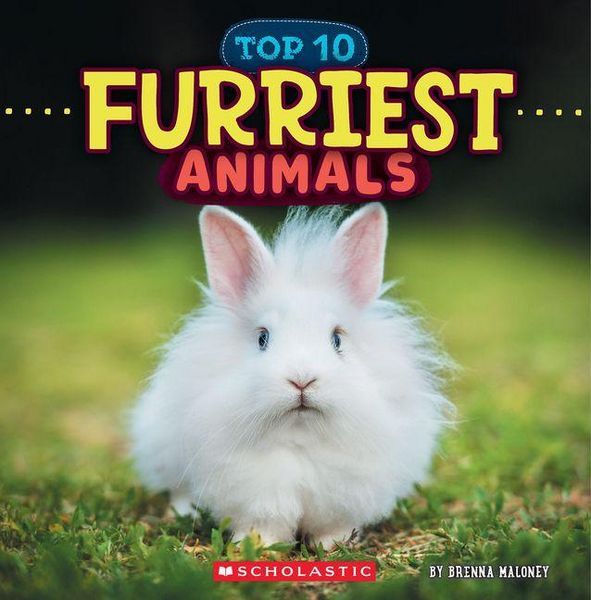Produktbild: Furriest Animals (Wild World: Top 10)