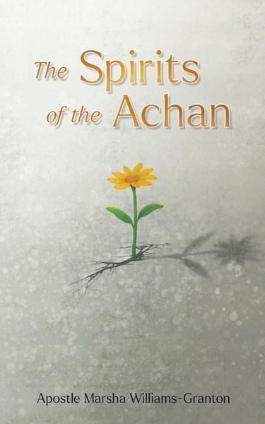 Produktbild: The Spirits of the Achan