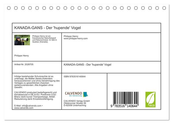 Produktbild: KANADA-GANS - Der 'hupende' Vogel (Tischkalender 2026 DIN A5 quer), CALVENDO Monatskalender