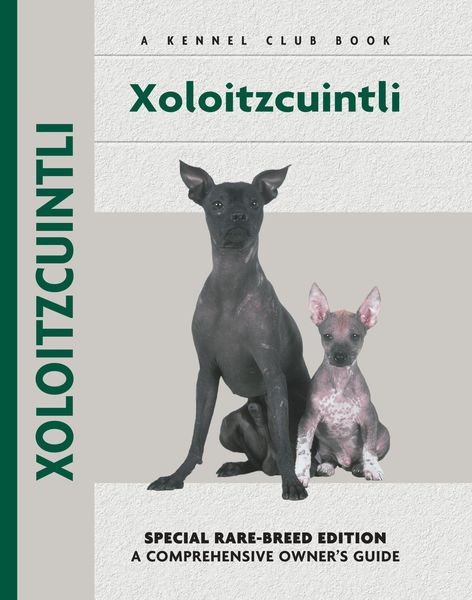 Produktbild: Xoloitzcuintli