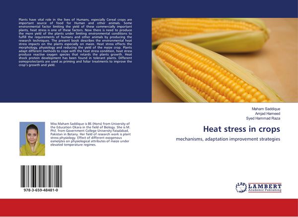 Produktbild: Heat stress in crops