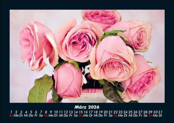 Produktbild: Blumentr&auml;ume 2026 Fotokalender DIN A5